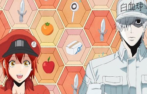 'Cells at work!': annunciato un nuovo episodio della nota serie anime