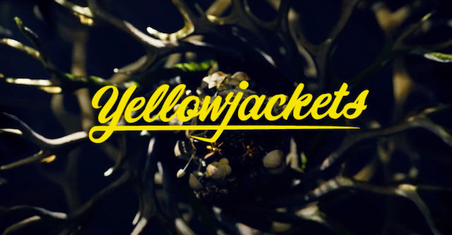 yellowjackets 2