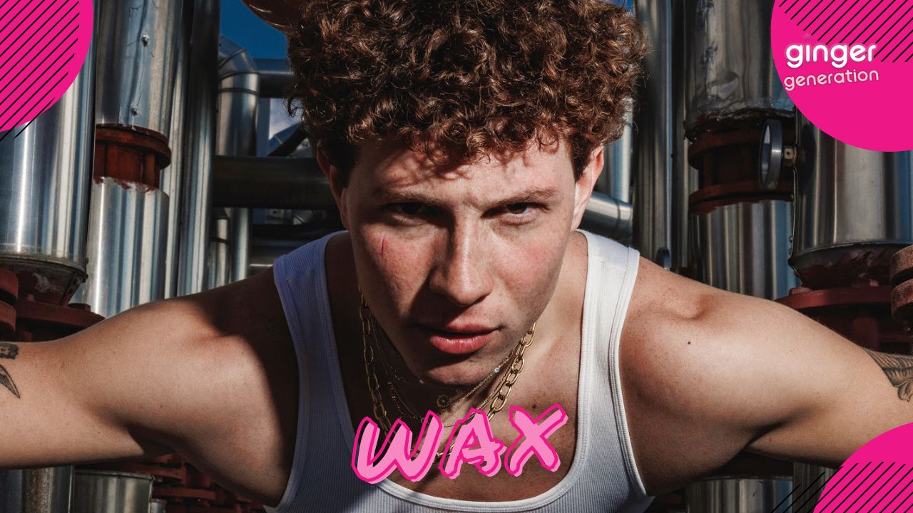 wax intervista
