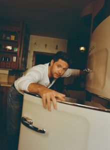 niall horan - dinner party