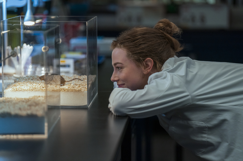  Prime-Video_The-Love-Hypothesis-Il-teorema-dellamore