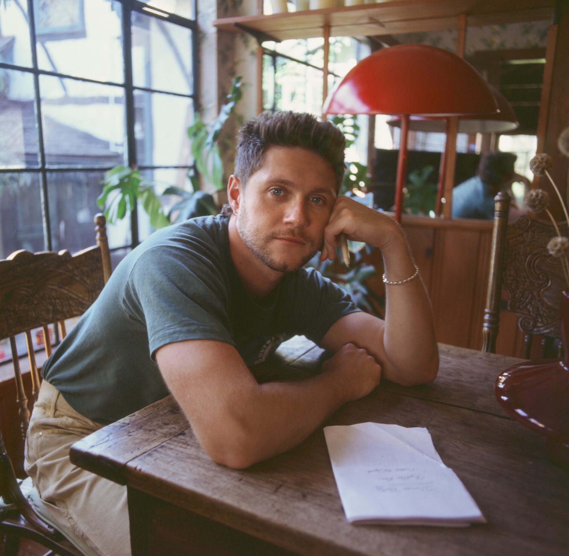 niall horan - dinner party